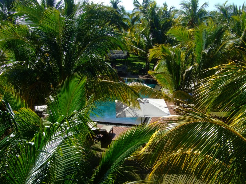 Mauritius 2010 - 0064 